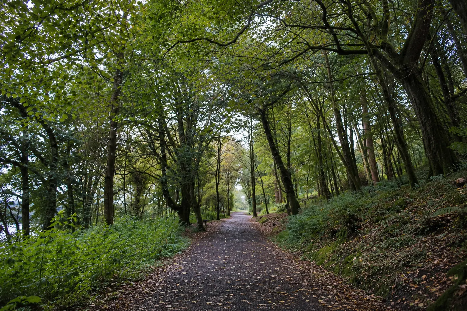 Mugdock Country Park