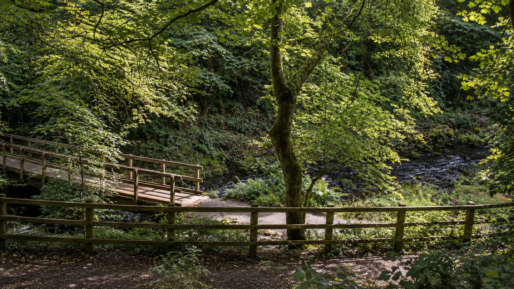 Rouken Glen Park
